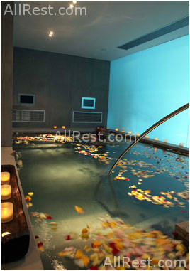 Life Gallery 22